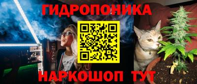 винт Аша