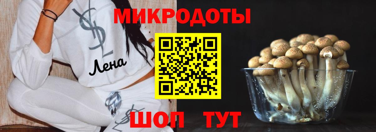 Азнакаево  Псилоцибиновые грибы Psilocybine cubensis  Вход с VPN 